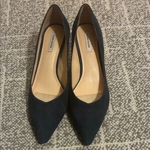Alex Marie Navy Suede Pointed Toe Heels